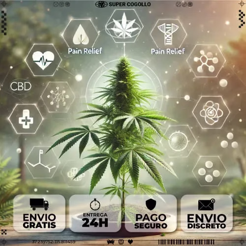 Introdução ao CBD