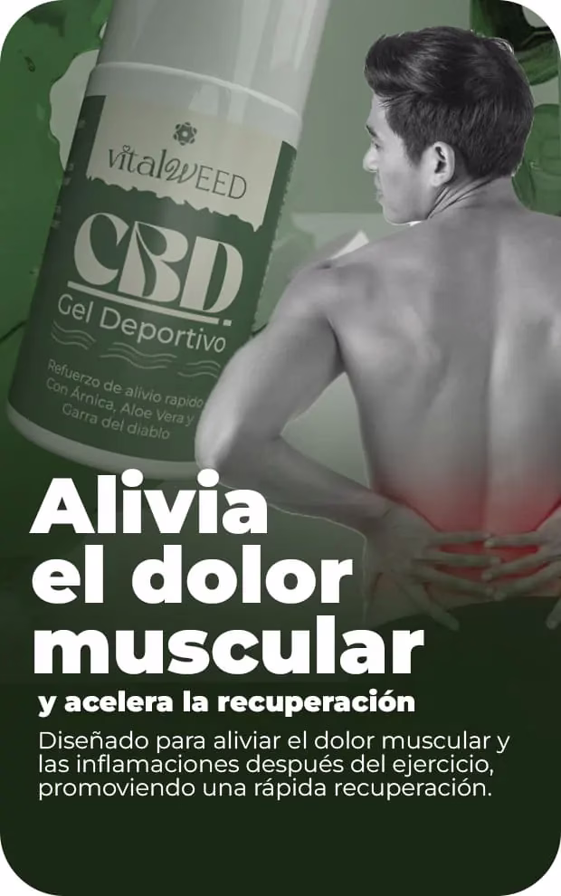 GEL DEPORTIVO CBD - Super Cogollo