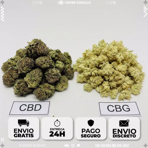 Comparación visual de flores de cáñamo CBD y CBG mostrando diferencias de color