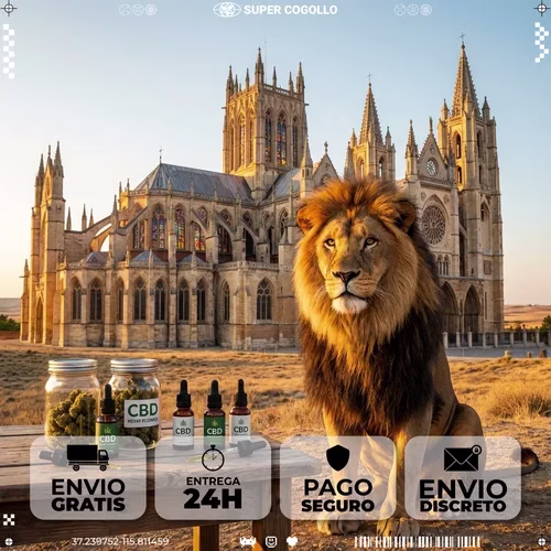 Productos de cáñamo industrial CBD en León