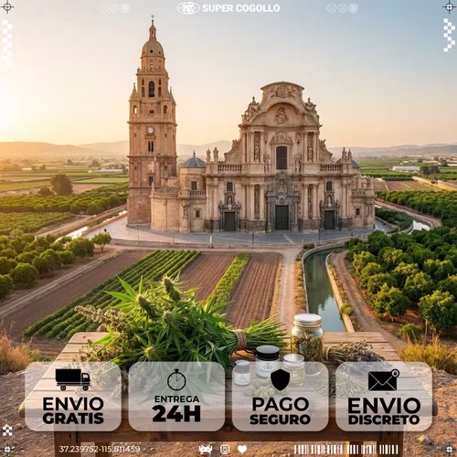 Productos de cáñamo industrial CBD en Murcia