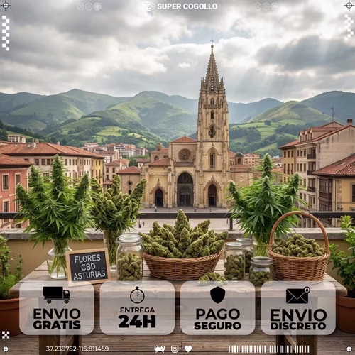 Productos de cáñamo industrial CBD en Oviedo / Asturias