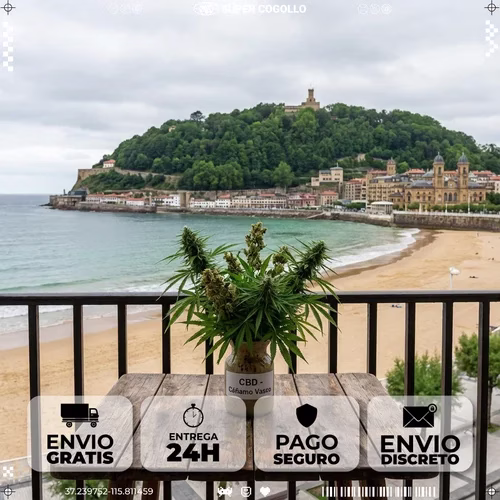 Productos de cáñamo industrial CBD en San Sebastián