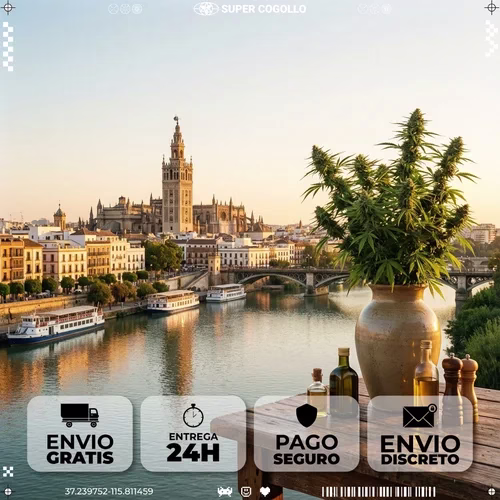 Productos de cáñamo industrial CBD en Sevilla
