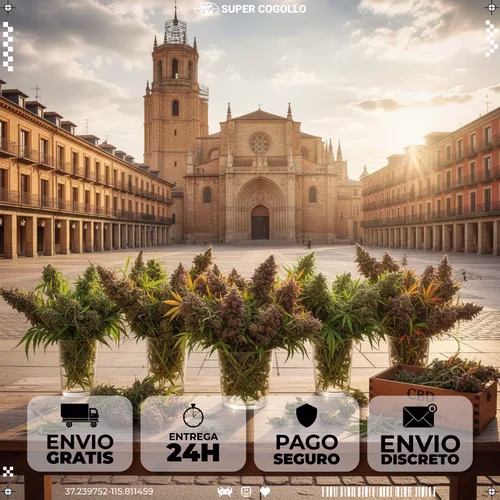 CBD em Valladolid
