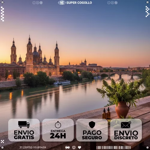 Onde pedir CBD em Zaragoza