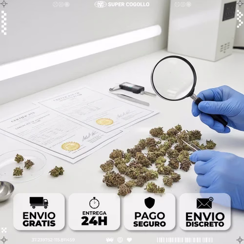Nuestra filosofía de calidad: por qué seleccionamos lo que seleccionamos