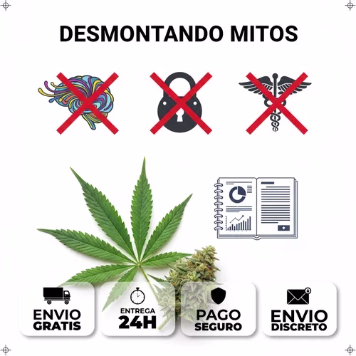 Concepto de mitos sobre CBD siendo desmentidos con datos y evidencia