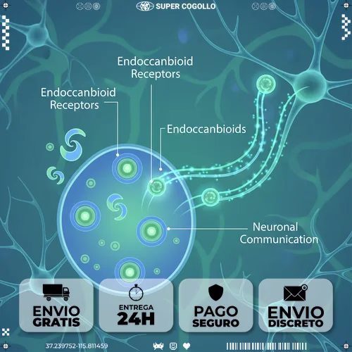 Ilustración científica del sistema endocannabinoide con receptores y moléculas