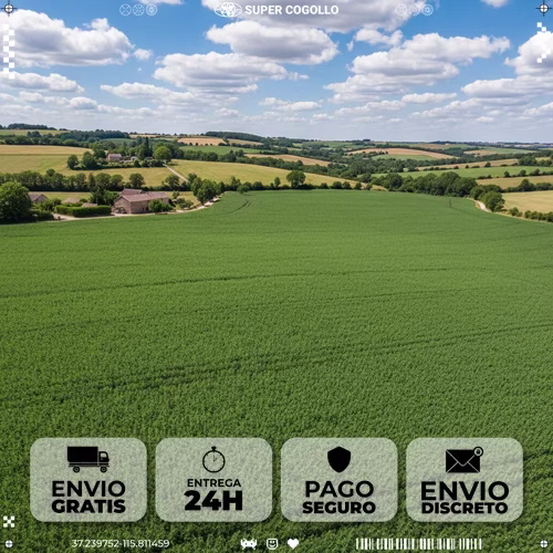 Campo de cáñamo exuberante desde el aire, mostrando la extensión del cultivo sostenible