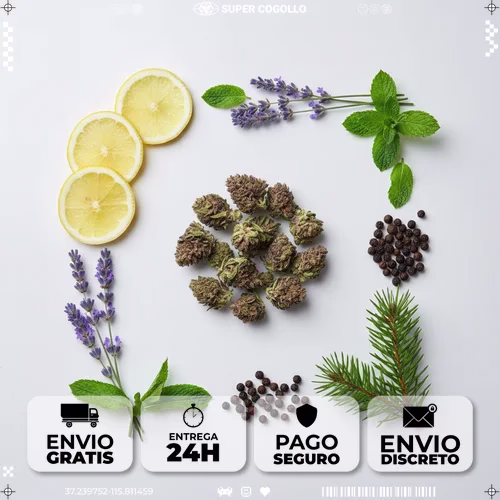 Flores de cáñamo rodeadas de elementos naturales que representan los principales terpenos