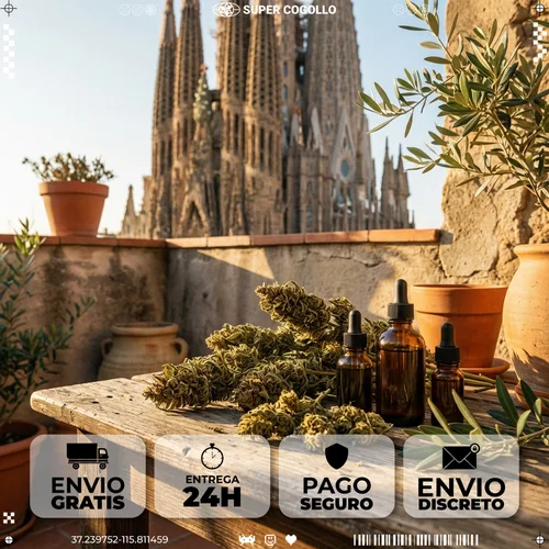 Comprar CBD en Barcelona - Super Cogollo Envío de CBD a Barcelona en 24-48 horas desde Super Cogollo