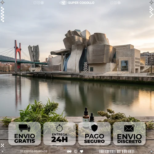 Envio de CBD para Bilbao em 24 horas