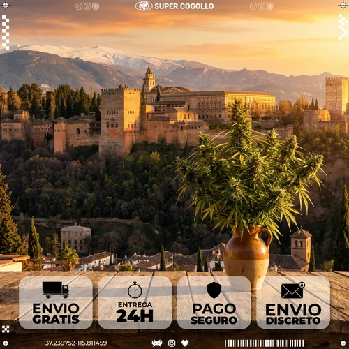 Envio de CBD para Granada em 24-48 horas