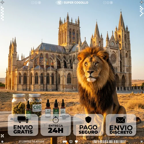 Comprar CBD en León - Super Cogollo Envío de CBD a León en 24 horas