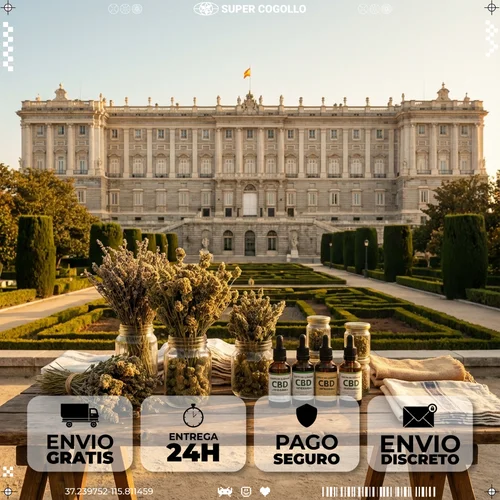 Envio de CBD para Madrid em 24 horas desde Super Cogollo