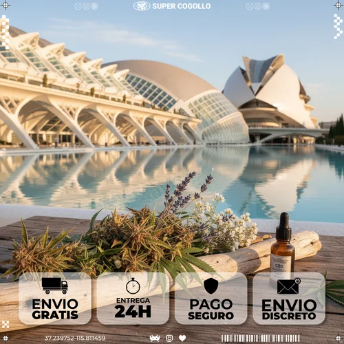 Envio de CBD para Valência em 24-48 horas desde Super Cogollo