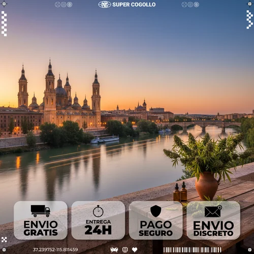 Comprar CBD en Zaragoza - Super Cogollo Envío de CBD a Zaragoza en 24-48 horas
