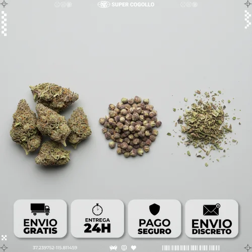 Formatos de flores de cáñamo Comparación de tres formatos de flores de cáñamo: cogollos premium, mini buds y trim
