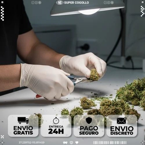Processo de manicure manual de flores de cânhamo com tesouras de precisão
